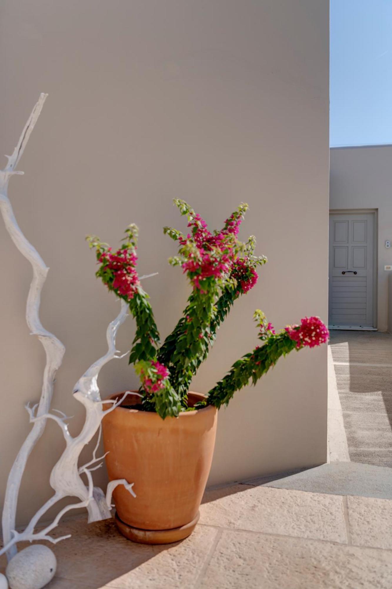 Kouros Art Hotel (Adults Only) Stelida  Exterior photo